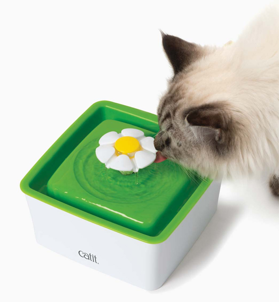 cat it vattenfontän